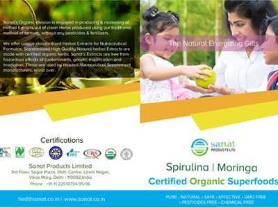 Brochure Designing